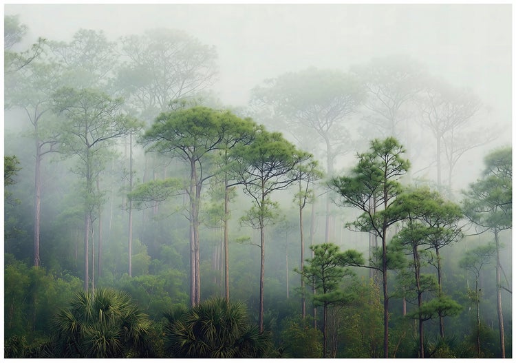 Fototapete 3D Effekt Wald Nebel Grün Wohnzimmer Vlies Tapete 400x280 cm
