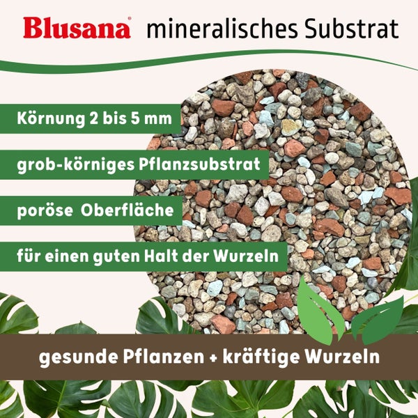 Blusana Mineralisches Pflanzsubstrat vorgedüngt für Pflanzen 30 Liter Bims Lava-Stein Zeolith Ton Mix Granulat feine Körnung 2-5 mm pH neutral Hydrokultur Drainage & Dekoration