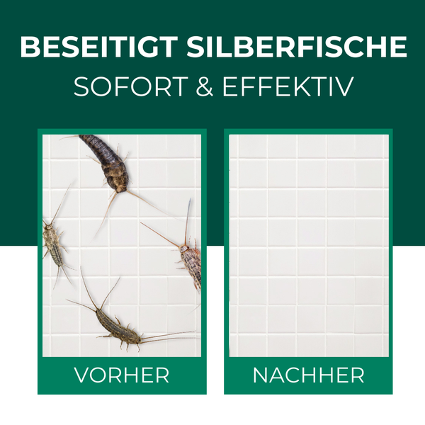 Silberkraft Anti-Silberfischspray 500 ml inkl. E-Book – Effektive Sofort- und Langzeitwirkung gegen Silberfische & Papierfische, gezielte Anwendung in Ritzen & Laufwegen, Made in Germany