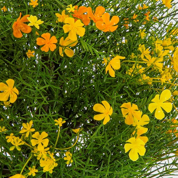 Nahaufnahme einer Kunstpflanze mit grünen nadelartigen Blättern und kleinen gelben sowie orangefarbenen Blüten.