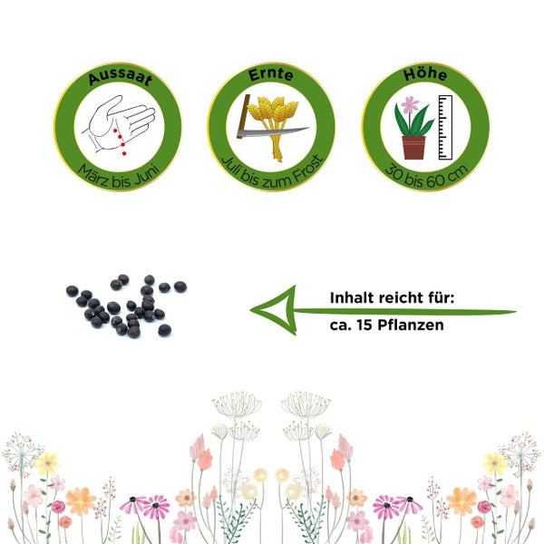 Aussaat März bis Juni, Ernte Juli bis zum Frost, Wuchshöhe 30 bis 60 Zentimeter, Inhalt für circa 15 Pflanzen.