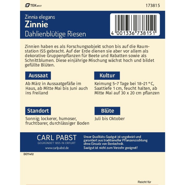 Zinnie Dahlienblütige Riesen Samen von Pabst Keimkraft