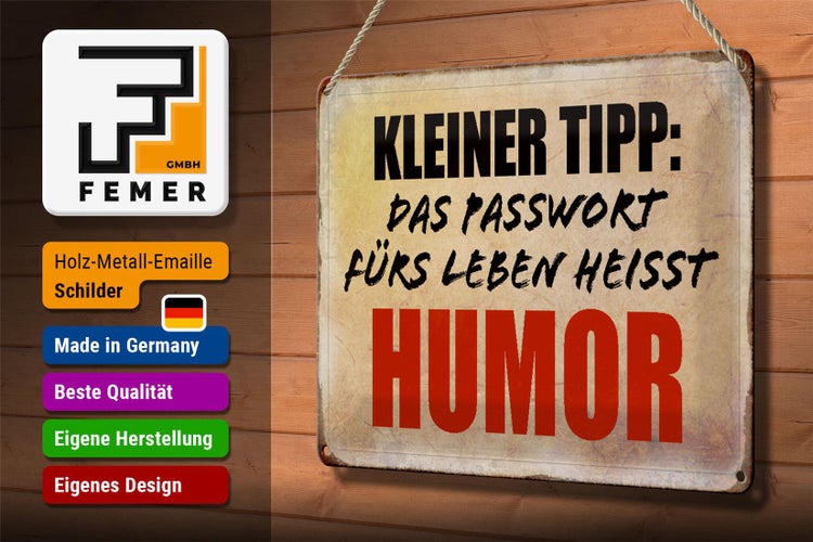 Blechschild Spruch 30x20cm kleiner Tipp das Passwort Humor