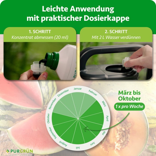 Anleitung: 20 Milliliter Dünger abmessen und mit 2 Liter Wasser verdünnen. Anwendung von März bis Oktober einmal pro Woche. Purgrün Logo.
