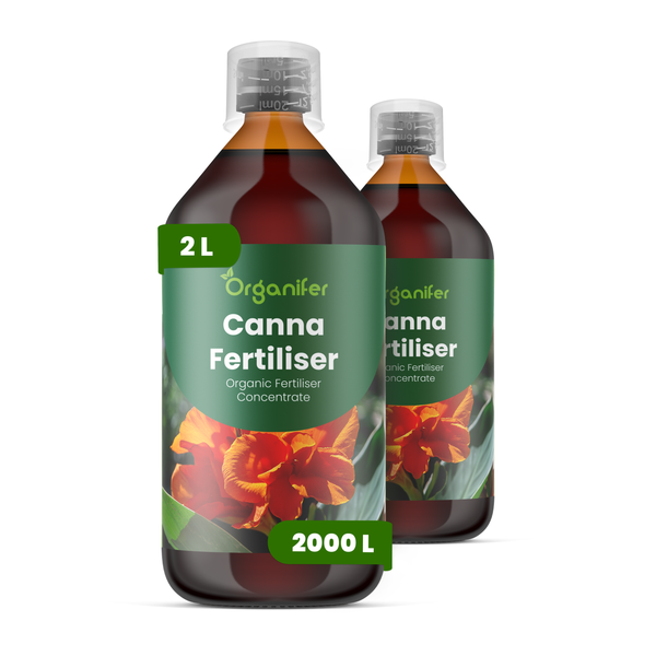 Organifer Canna Dünger, biologisches Düngerkonzentrat, zwei Flaschen mit je zwei Liter Inhalt für zweitausend Liter Gießwasser.