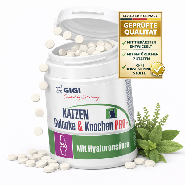 Dose mit Tabletten für Gelenke und Knochen von Katzen, Marke GIGI, mit Hyaluronsäure und Qualitätssiegel.
