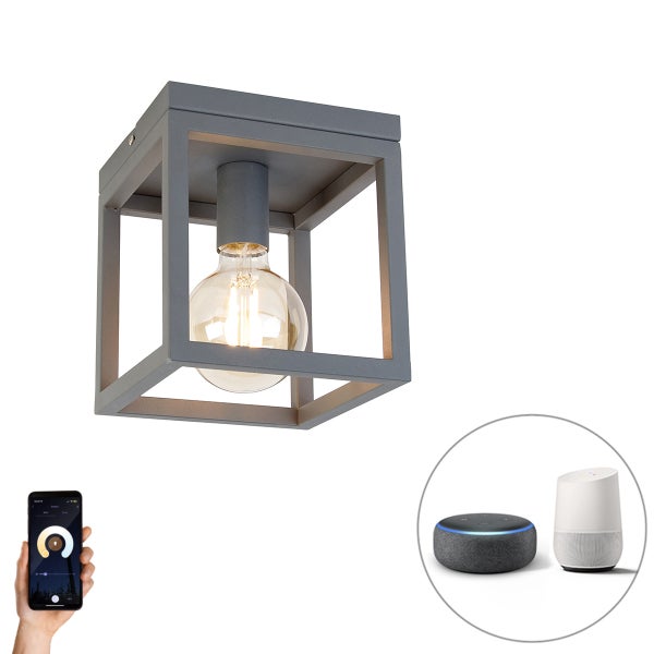 Industrielle smarte Deckenleuchte dunkelgrau inkl. Wifi G95 - Cage
