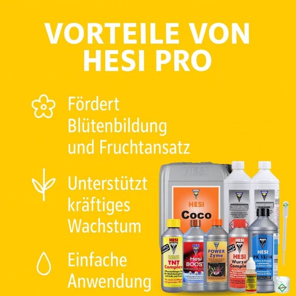 Infografik zu Hesi Pro Vorteilen: Förderung von Blütenbildung und Fruchtansatz, Unterstützung von kräftigem Wachstum und einfache Anwendung.