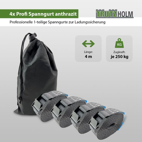 Set aus 4 TrutzHolm Profi Spanngurten mit einer Länge von 4 Metern und je 250 Kilogramm Zugkraft inklusive Aufbewahrungstasche.