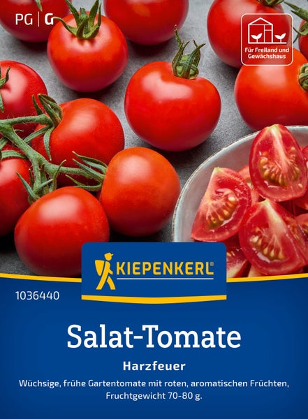 Kiepenkerl Saatgut Salat Tomate Harzfeuer für Freiland und Gewächshaus