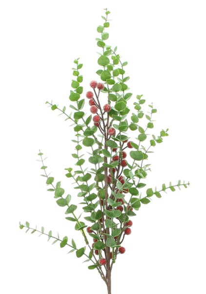 Dekorative Eukalyptuszweige mit roten Beeren