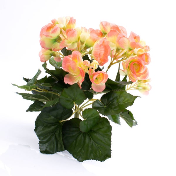 Künstliche Begonie mit rosa-gelben Blüten und grünen Blättern.