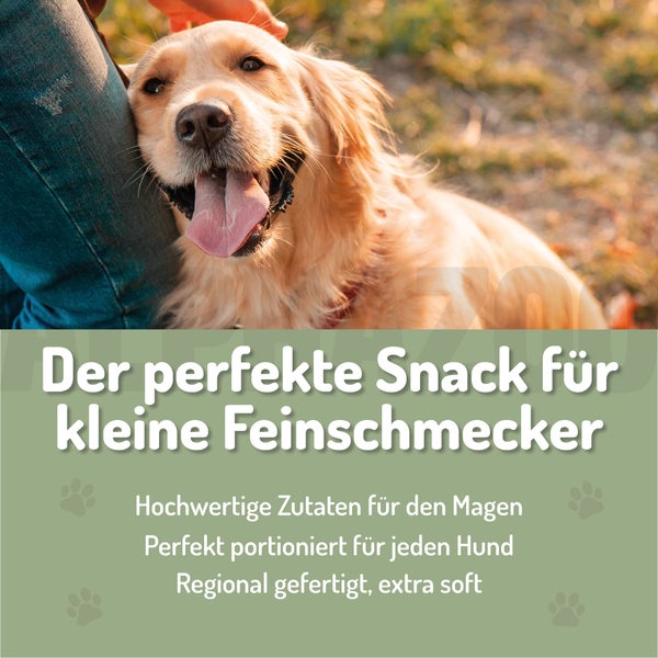 Alpha Zoo Fauchibauchi Hundesnacks für die Verdauung