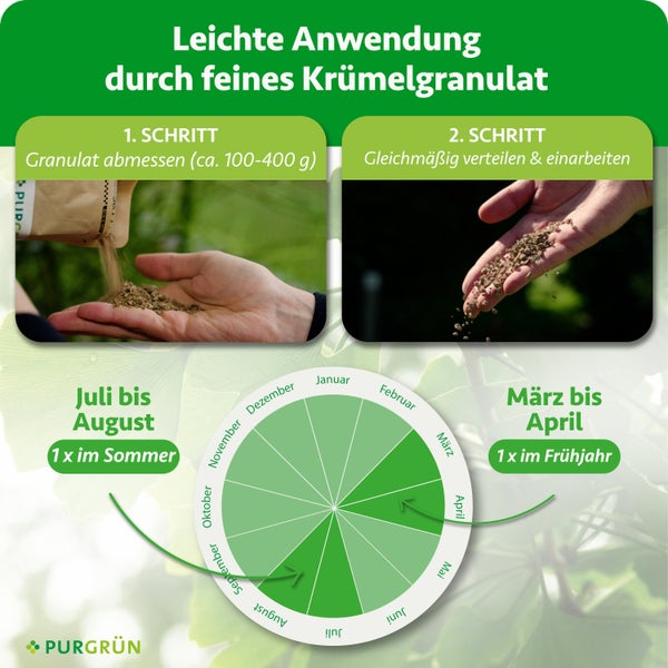 Infografik zur Anwendung von Krümelgranulat: circa 100 bis 400 Gramm abmessen und verteilen. Kalender für Frühjahr und Sommer. PURGRÜN Logo.