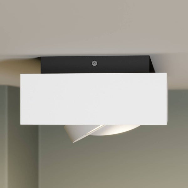 Deckenleuchte mit drehbarem Spot