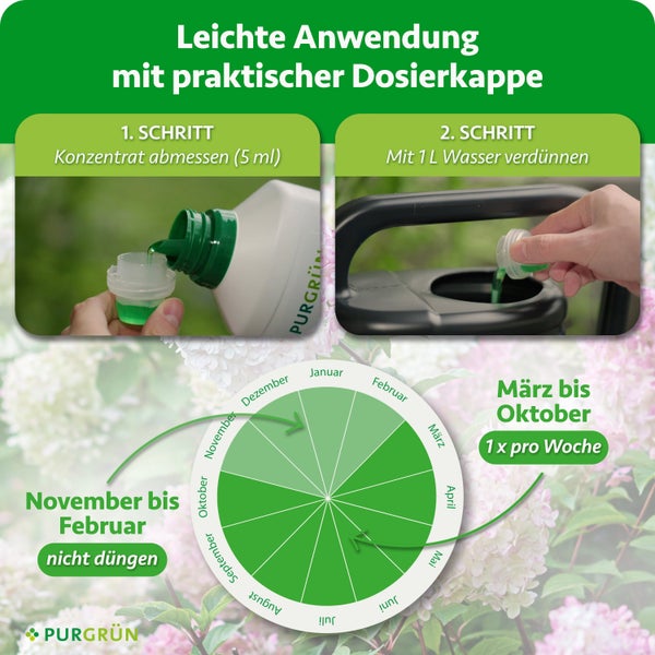 Anwendungshinweise für Purgrün Dünger mit Dosierschritt, Verdünnung und jährlichem Düngekalender.