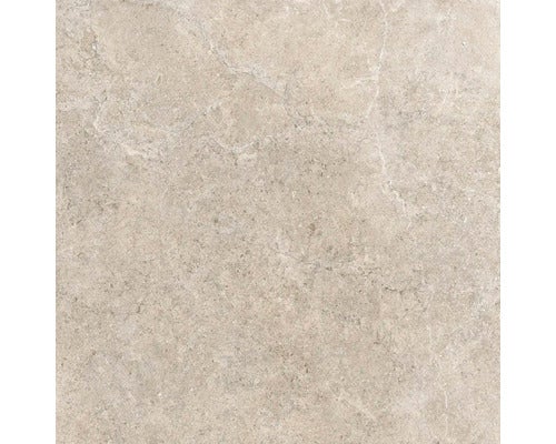 Wand- und Bodenfliese Jurassic beige 60x60 cm