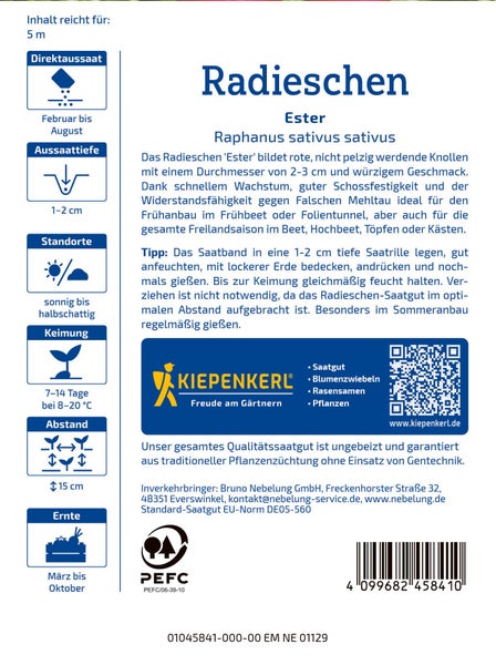 Radieschen Saatband Ester Raphanus sativus sativus von Kiepenkerl mit Aussaat- und Pflegehinweisen