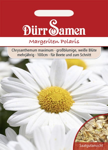 Dürr Samen Logo, Samentüte Margeriten Polaris, Chrysanthemum maximum, mehrjährig, Höhe circa 100 Zentimeter, mit weißer Blüte und Saatgutansicht.