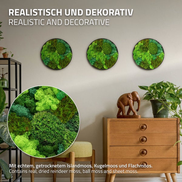 Drei runde Wandbilder mit echtem, getrocknetem Islandmoos, Kugelmoos und Flachmoos als natürliche Wanddekoration in einem Wohnraum.