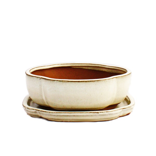 Bonsai-Schale mit Unterteller Gr. 2 hellbeige haitang/oval  Modell I5 L 14,5cm B 12,5cm H 5cm