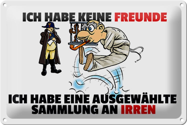 Blechschild Spruch 30x20cm keine Freunde Sammlung an Irren
