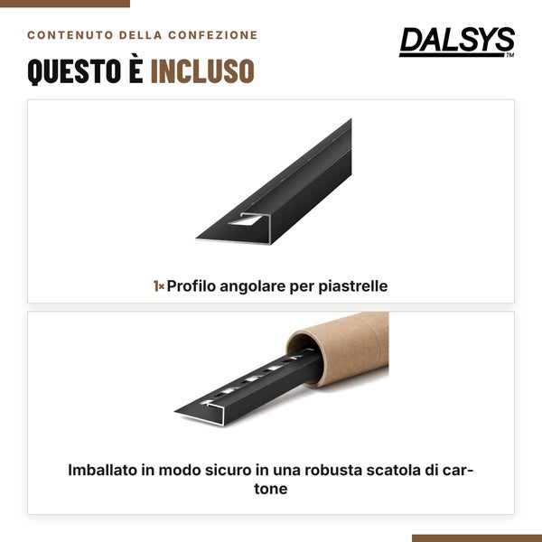 Dalsys Logo mit Lieferumfang Darstellung eines Fliesenprofils und der sicheren Kartonverpackung.
