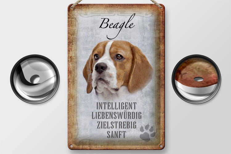 Blechschild Spruch 20x30cm Beagle Hund Schild