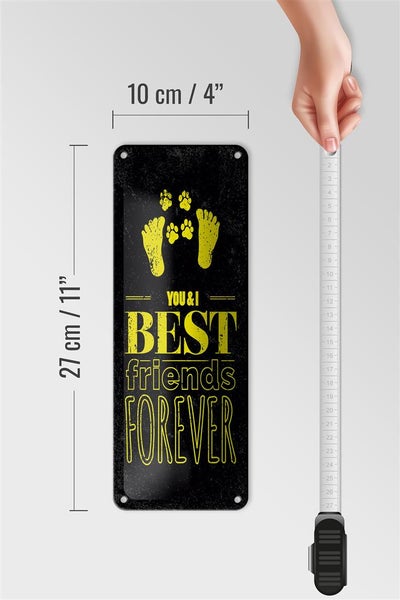 Blechschild Spruch Freunde You I best friends forever 10x27cm