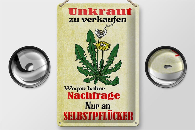 Dekoratives Schild mit dem Text Unkraut zu verkaufen, Maße 30 x 20 cm
