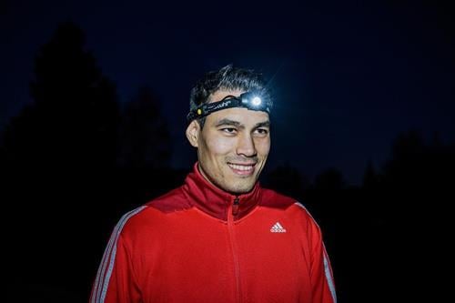 Beet mit silberfarbenem Edel-Raute Kraut