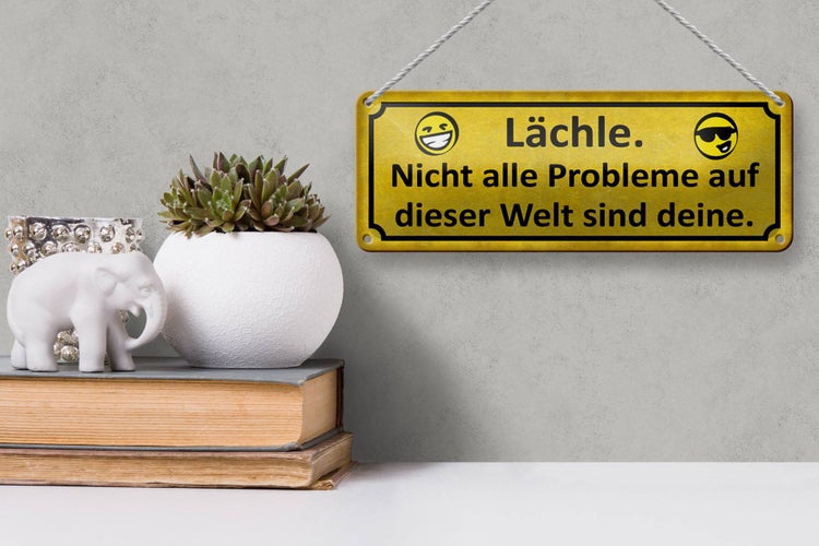 Blechschild Spruch 27x10cm Lächle nicht alle Problem deine Dekoration