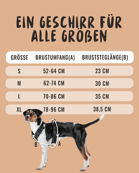 Größenratgeber für ein Hundegeschirr mit Größenangaben und Messpunkten