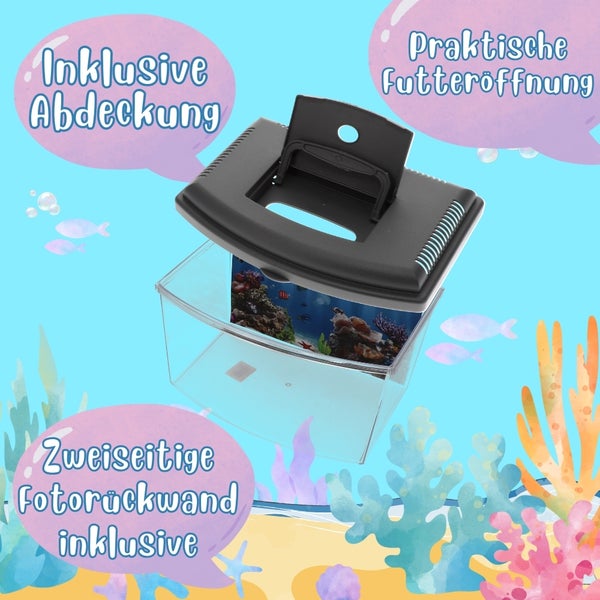 Kleines Aquarium mit Abdeckung und Futteröffnung