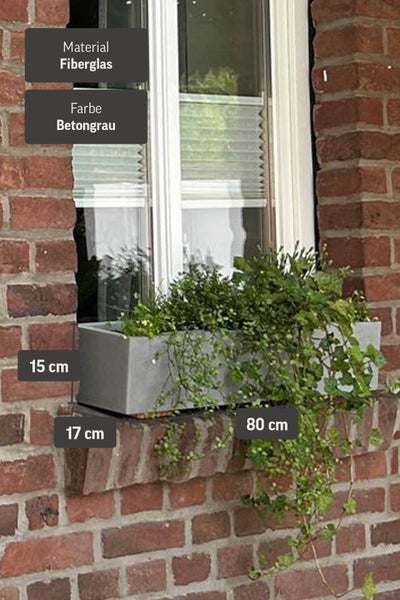 Bepflanzter Pflanzkasten aus Fiberglas in Betongrau, Maße 80 mal 17 mal 15 Zentimeter, auf einem Fenstersims vor einer Ziegelwand.