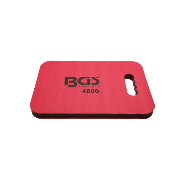 Nahaufnahme einer dichten Eibe im Garten.