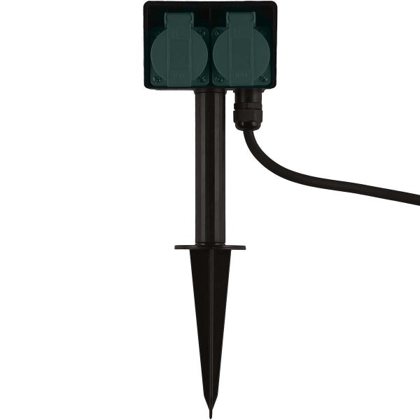 Nahaufnahme von Ahornblättern.