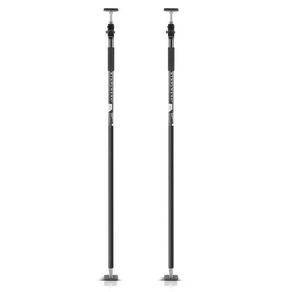 Aussaat von Schlangen-Knöterich Pflanzen im Garten.