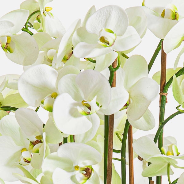 Weiße künstliche Orchidee mit Blüten und Knospen an einem grünen Stängel