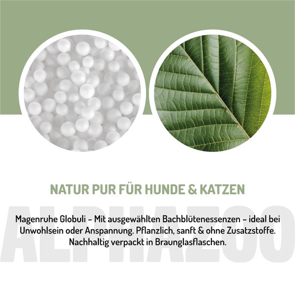 alphazoo Magenruhe Bachblüten 15g