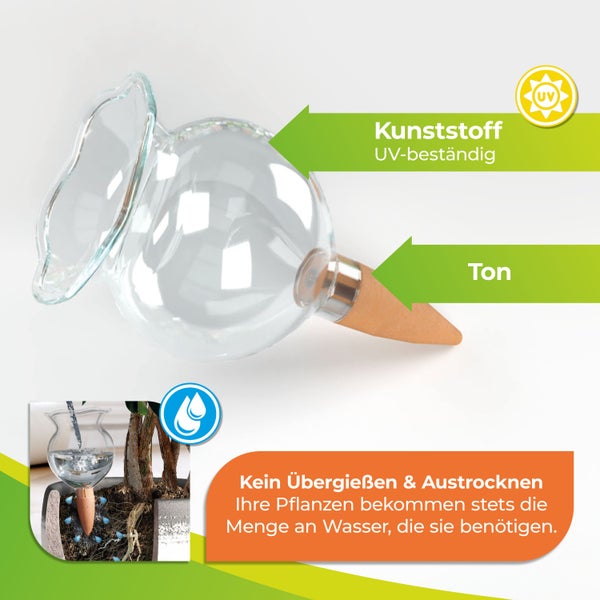 Tonkegel Bewässerung für Zimmerpflanzen Hydro Bloom