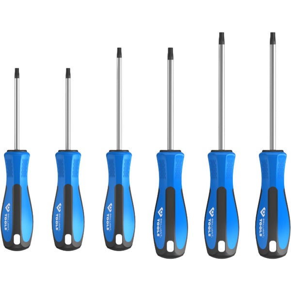 Satz Torx-Schraubendreher mit blauem Griff