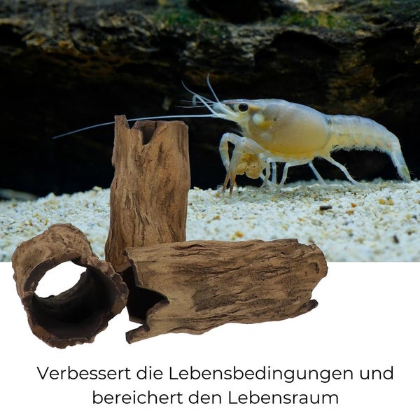 Aquarium Deko Höhle Röhre Reptilien Wurzel Ast Holz Ablaichhöhle Ablaichröhre Fisch Krebs Wels Laichröhre Tonröhre Laichhöhle