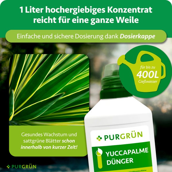 Purgrün Yuccapalme Dünger Konzentrat 1 Liter, reicht für 400 Liter Gießwasser, inklusive Dosierkappe und Abbildung von Yucca-Blättern.