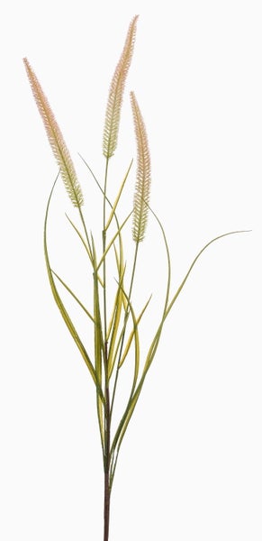 Künstliches Ziergras mit flauschigen Blütenständen.