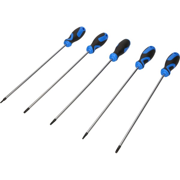 Fünf Torx-Schraubendreher mit Griff