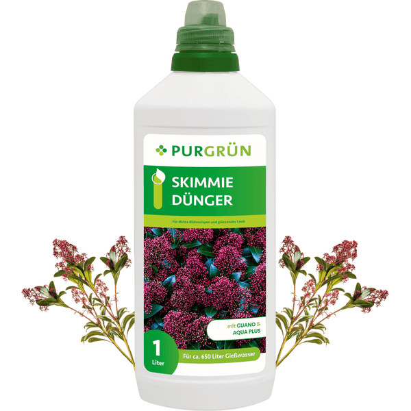 Purgrün Skimmie-Dünger 1 Liter
