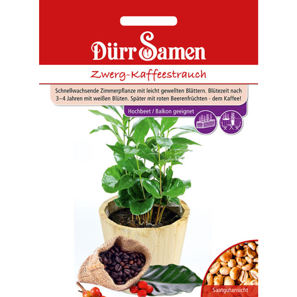 Dürr Samen Zwerg-Kaffeestrauch-Samenpackung mit Bild eines Topfes mit einer Zwergkaffeepflanze, Kaffeebohnen in einem Jutesack und gerösteten Kaffeebohnen.