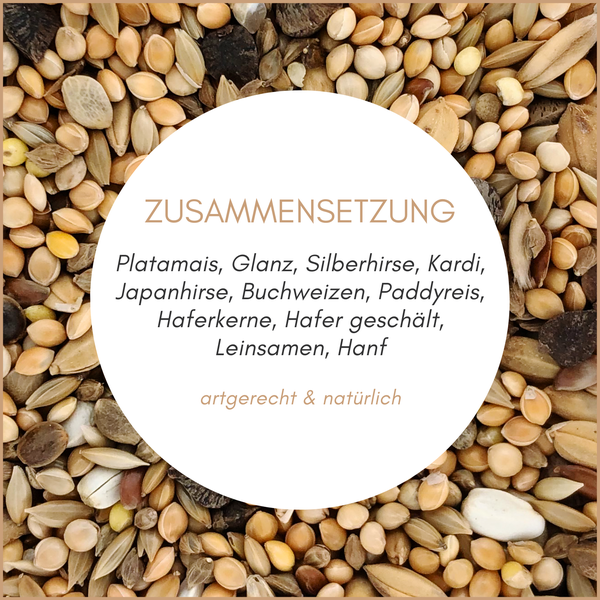 Zusammensetzung aus verschiedenen Getreidesorten wie Mais, Glanz, Silberhirse, Buchweizen und Leinsamen