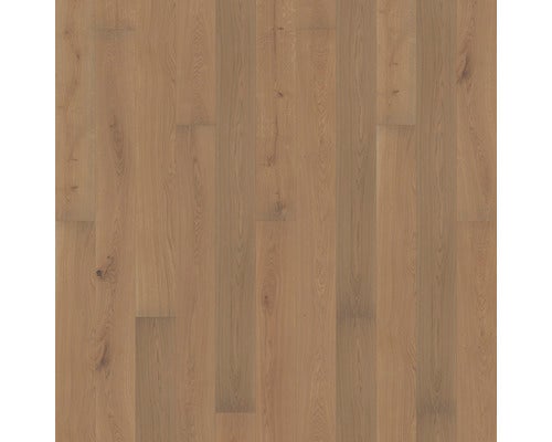 Parkett 13.0 Eiche Schilfgrau